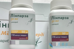 ��������(Olaparib)�Ի��ߵ���������û��Ӱ��