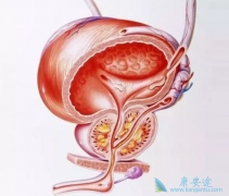 ������ܹ����ǰ���ٰ��������Ƶ���Ч�ʣ�