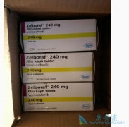 ������������ʧ�ܵ�BRAFͻ�䳦�����߶����������޷�����