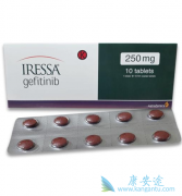 ��һ��EGFR���Ƽ���������������������Ʒΰ�Ч������