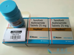 Τ����(TAF)���Ҹλ��ߵĳ���Ԥ��Ӱ����Σ�