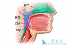 ��Щ�������շ����ʰ�����