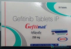 ����EGFR-TKI�ϼ��������������������������