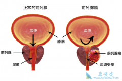 ����³������ǰ���ٰ�Ч����Σ�