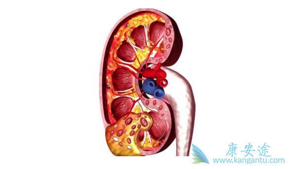 胃癌晚期 胃癌晚期