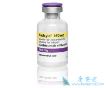 �����鵥�������ٰ���ҩT-DM1��ʲô��ϵ