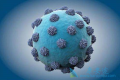 �����д�Ⱦ����Щ�����ױ��δ�Ⱦ��