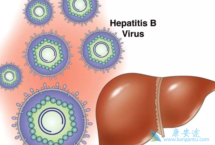 乙肝dna检测 乙肝dna检测