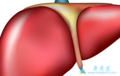 ������ʲô�������κ���