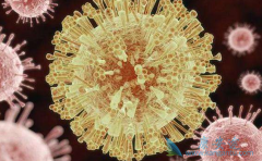 ���δ�Ⱦ����μ���Ƿ��д�Ⱦ�ԣ�