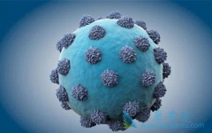 ���������к��κú��ע������