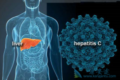 ���δ�Ⱦ��ʽ��ѪҺ���ֶ����Ĵ���;���й�