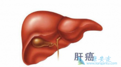 ΪʲôҪ���Ҹ�dna��⣿