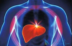 ���β��ܳ�ʲô��