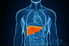 ������ʲô����