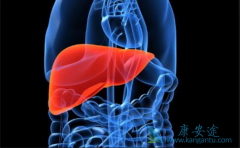 ���������ڼ���ע����Щ���