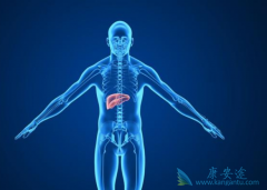 ���γ����κ�Ҫ����Ǯ��