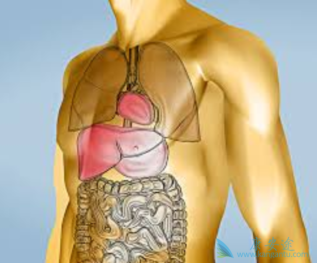 乙肝治好后需要定期做哪些复查项目 乙肝治好后需要定期做哪些复查项目