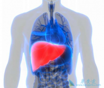 ����������ø���ʲô��