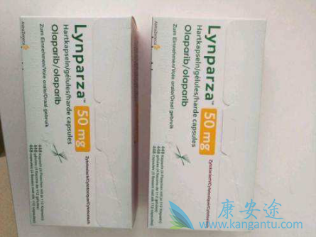 奥拉帕尼哪里买?价格多少 奥拉帕尼哪里买?价格多少