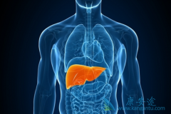 ���θ�����ʲô֢״��