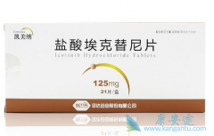 ������������EGFR���Էΰ�Ч������