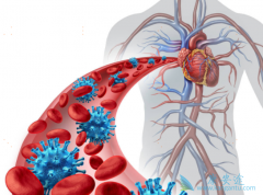 �������ƹ���������Щ��ʳ���ɣ�