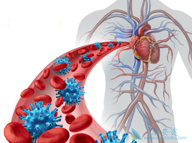 丙肝治疗过程中有哪些饮食禁忌 丙肝治疗过程中有哪些饮食禁忌