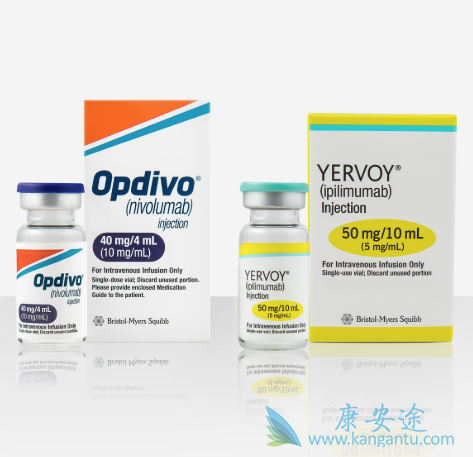 免疫检查点抑制剂 免疫检查点抑制剂