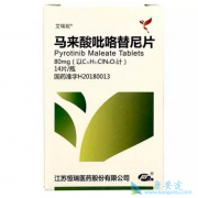 ����������������HER2�������ٰ�����Ч��Σ�