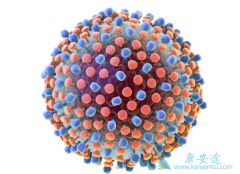 ���������������Ԥ�����β�����