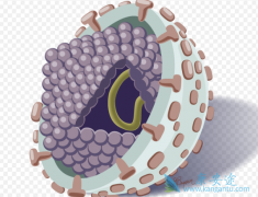 ���λ᲻�ᴫȾ�����ˣ���η�ֹ����Ⱦ��