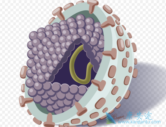 丙肝会不会传染给家人 丙肝会不会传染给家人