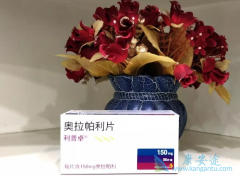 ���������������ٰ��л�����