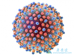 ʲô�Ǳ��Σ����εĴ���������ʲô��