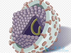 �����Ա��εķ���ԭ����ʲô