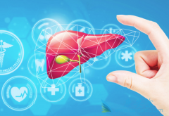 ���β����ĸ�Ⱦ�ʸ���