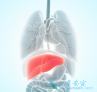 ���Ա��͸��׿��Ա�������