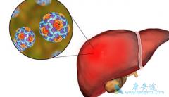 ��ҩ���Ʊ���Ч���ò��ã�