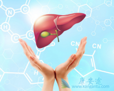 ������Ҫ����;����ʲô