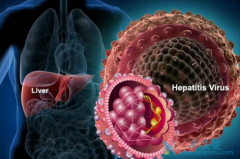 ʲô������Ҹ�����245���ԣ�