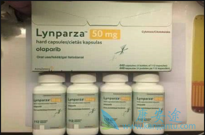 奥拉帕尼耐药 奥拉帕尼耐药