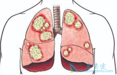 �����������������ַΰ��İ���ҩ��