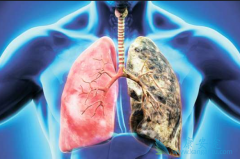 �ΰ�������Чҩ��ϣ�������Ч��Σ�