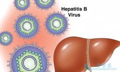 �����Ҹ�����Ҫ��ã�