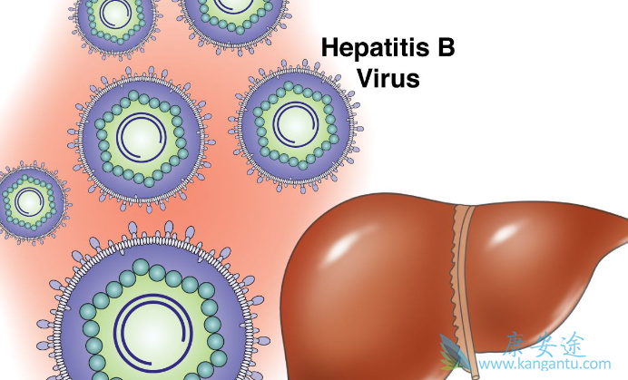 乙肝治疗要多久 乙肝治疗要多久