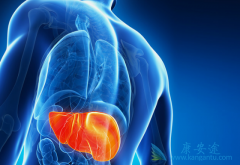 ���εĴ���;������Щ����Щ��Ϊ���������δ�Ⱦ��