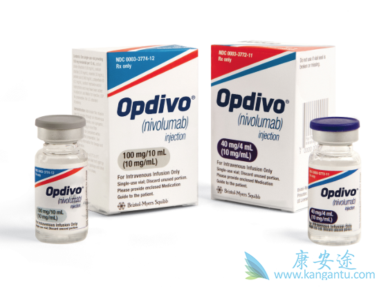 胃癌的免疫治疗 胃癌的免疫治疗