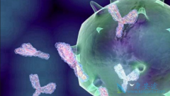 �������������Ԥ����