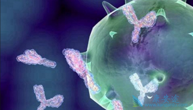 丙型肝炎 丙型肝炎